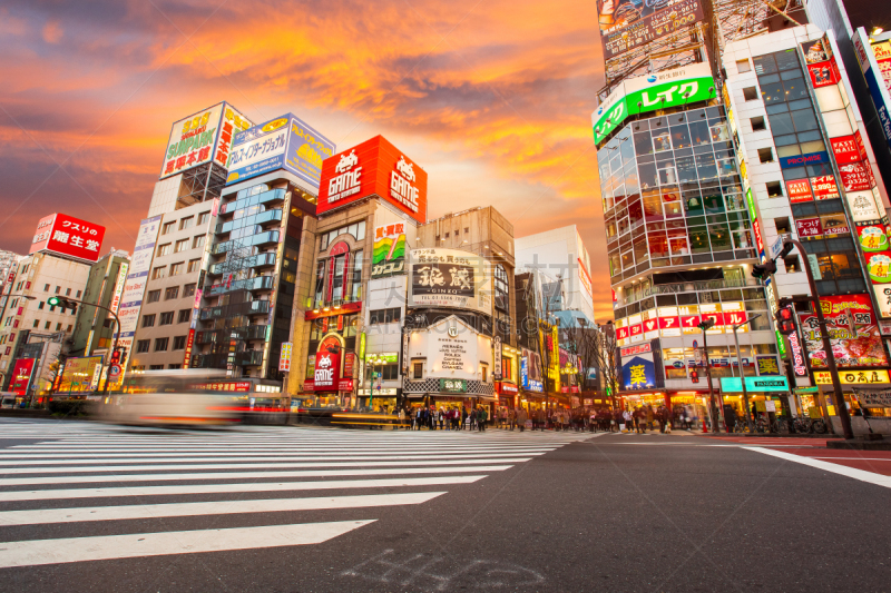 新宿区,城市生活,歌舞伎町,歌舞伎,东京,日本,街道,行人,水平画幅,夜晚