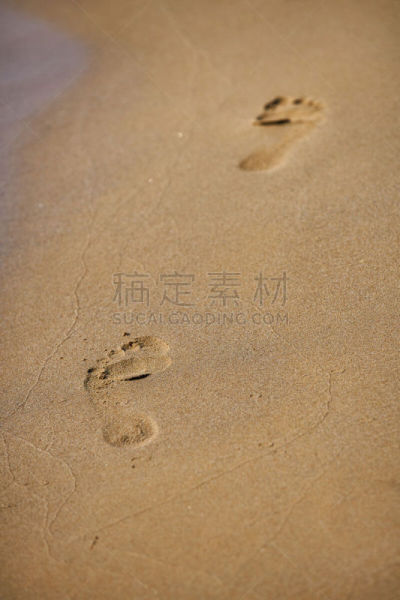 海滩,自然,垂直画幅,留白,脚印,美国,沙子,太平洋岛屿,夏天,户外