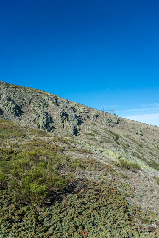 Alpine grasslands of Fescue and Padded brushwood