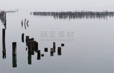 缅因州,木桩,波特兰,水平画幅,风化的,无人,缅因海湾,单色调,过去,滨水