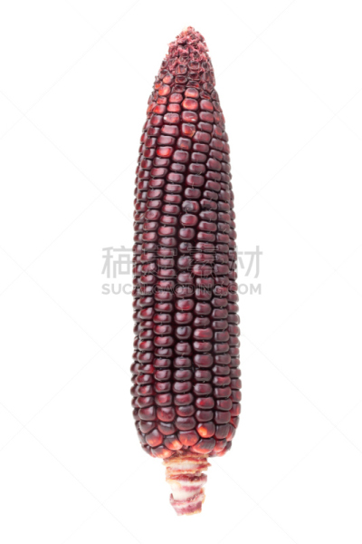 玉米,紫色,自然,垂直画幅,甜玉米,无人,有机食品,生食,背景分离,抗氧化物