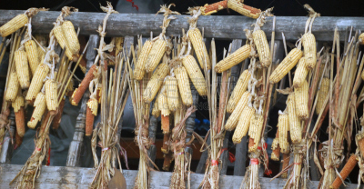 玉米,农舍,饮食,水平画幅,无人,阳台,中国,房屋,干的,季节