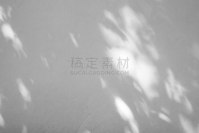 阴影,叶子,抽象,黑白图片,混凝土墙,背景,空的,暗色,热带气候,灰色