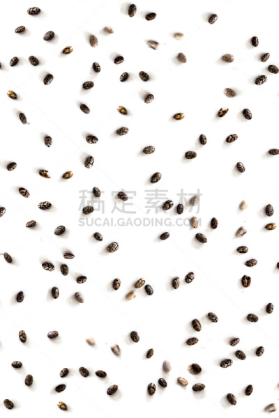 式样,种子,奇亚籽,特写,分离着色,视角,白色背景,顶部,组物体,大量物体
