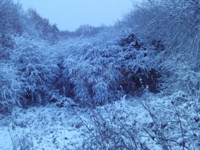 夜晚,十二月,2017年,扫雪车,寒冷,水平画幅,雪,无人,路,城市天际线