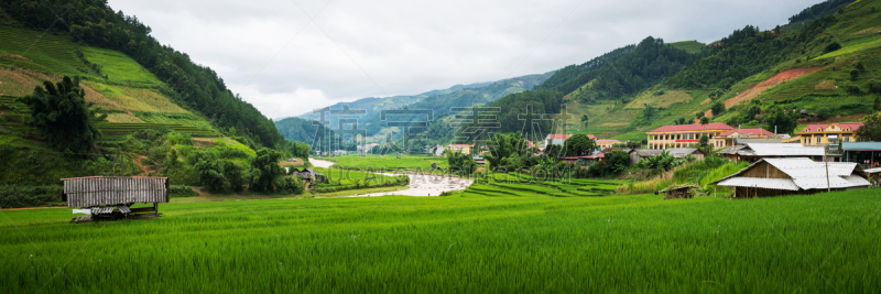 水稻梯田,风景,地形,mud pot,拉茶,自然美,水,缅甸,巴厘岛,东南亚半岛