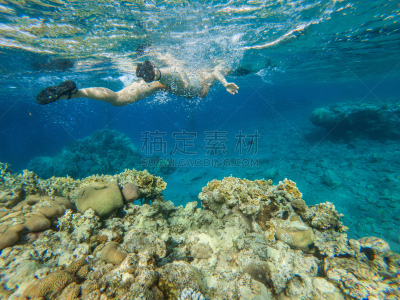 水下,礁石,浮潜,在上面,女人,水,水平画幅,水肺潜水,埃及,夏天