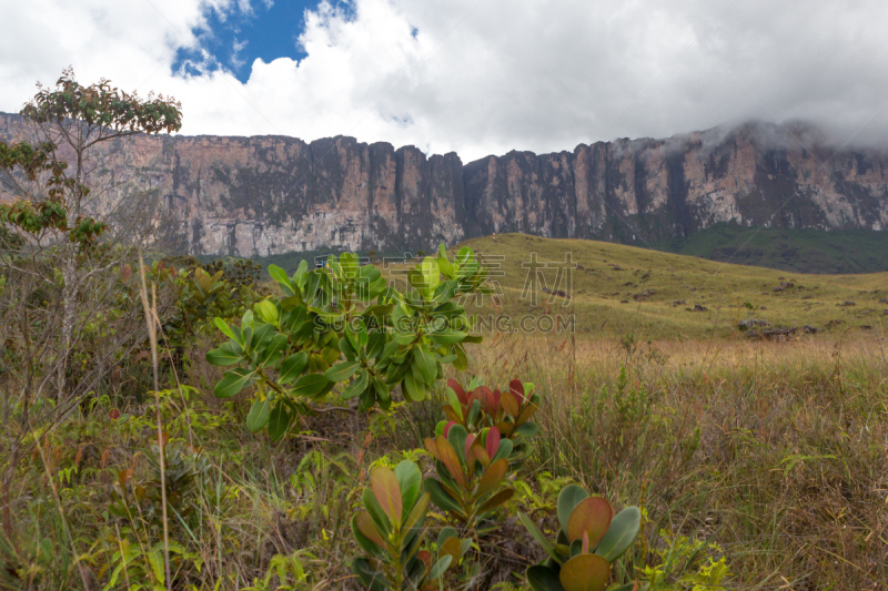 罗赖马山,平顶山,平顶山区,canaima,罗赖马州,委内瑞拉,南美,水平画幅,无人,户外