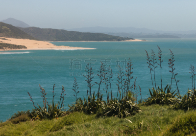 基昂加港,新西兰,新西兰亚麻,水平画幅,无人,蓝色,户外,草,海洋,山脉