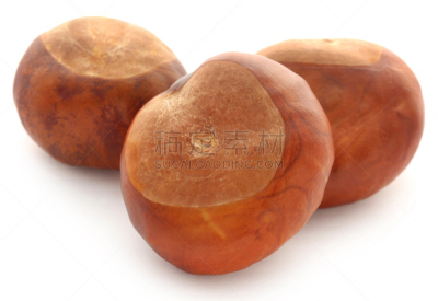 七叶树种子,清新,食品,植物,七叶树,背景,水果,孟加拉,荆棘,自然