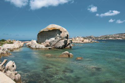 海滩,动物头,章鱼,海岸线,绿松石色,波浪,泻湖,岩石,户外,意大利