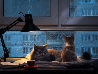 野生猫科动物,拉凡他那石拱,电缆,美,窗台,水平画幅,夜晚,美人,灯,国际著名景点