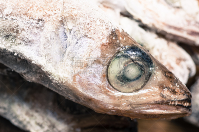 鱼类,冻结的,动物头,动物鳍,水平画幅,海鲷,2015年,生食,海产,动物身体部位