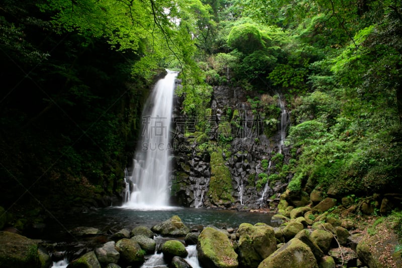 shiraito falls,自然,水,九州,水平画幅,瀑布,日本,夏天,阿苏市