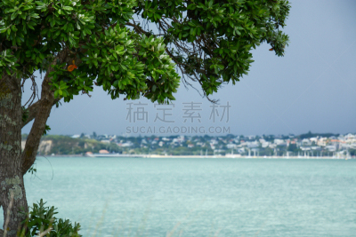 暴风雨,背景聚焦,德文波特,rangitoto channel,桃金娘科常绿树,奥克兰,选择对焦,水,水平画幅,无人