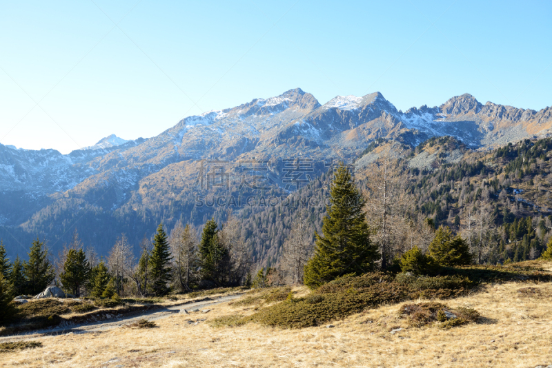 山,摩德纳迪坎皮格里奥,风景,意大利,天空,松树,度假胜地,水平画幅,蓝色,滑雪坡