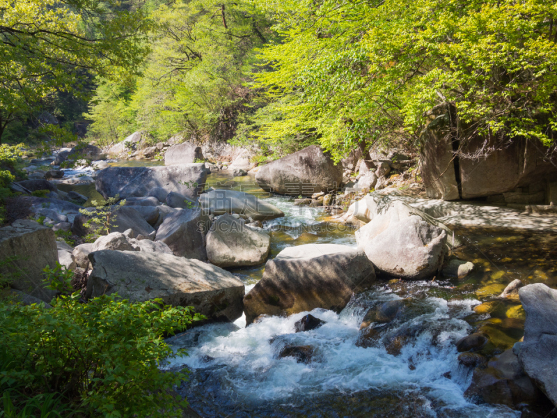 山梨县,清新,绿色,日本,升仙峡,甲府市,美,洛矶山脉,里山,沟壑