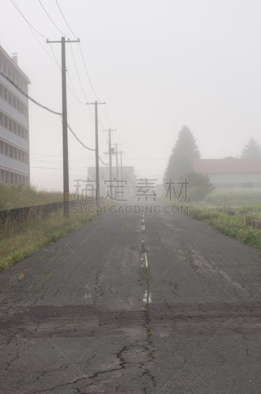 雾,路,富良野盆地,美瑛町,电话线,垂直画幅,里山,郊区,古老的,早晨