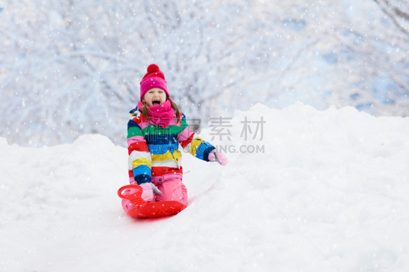 儿童,动物雪车,女孩,雪橇滑学,寒冷,姐妹,兄弟,运动,家庭,法国