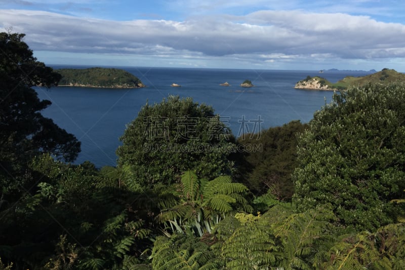 科罗曼德尔半岛,自然美,居住区,cathedral cove,水,水平画幅,沙子,半空中,夏天,户外