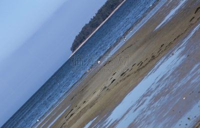 格赖夫斯瓦尔德,梅克伦堡前波莫瑞州,海滩,风景,倾斜视角,德国,奇异的,瓦登海.,波罗的海,稀缺