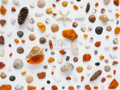 琥珀,夏天,海星,自然,式样,海洋,平坦的,材料,计划书,构图