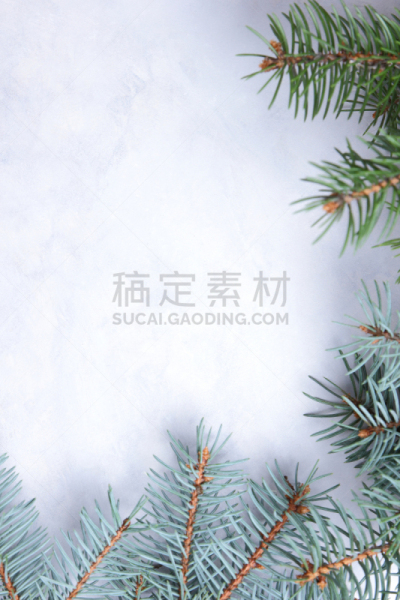 绿色,木制,枝,背景,圣诞树,自然,空白的,式样,白色背景