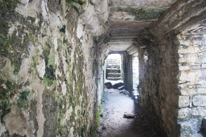 帕伦克,墨西哥,蒲甘建筑艺术园,水平画幅,寺庙,古老的,井,旅行者,石材,恰帕斯州