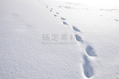 脚印,雪,寒冷,水平画幅,户外,流动的行人,两极气候,徒步旅行,黑森州,白色