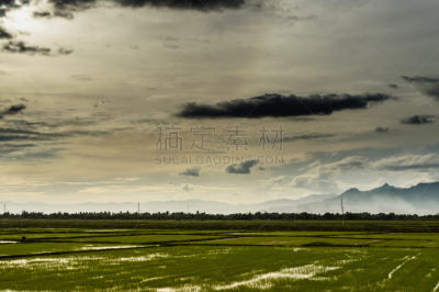 田地,云,平顺省,天空,越南,水平画幅,城市天际线,户外,农民,摄影