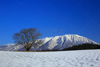冬天,农场,自然,草原,水平画幅,雪,无人,日本,户外,霞石