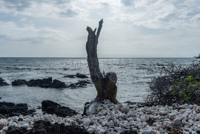 夏威夷大岛,死的,柯哈拉海滩,水边,水,天空,夏天,白色,海滩,风景