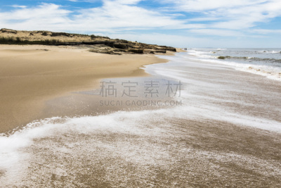 非凡的,乌拉圭,海滩,寂寞,等,看,一只动物,大洋洲,享乐,出发