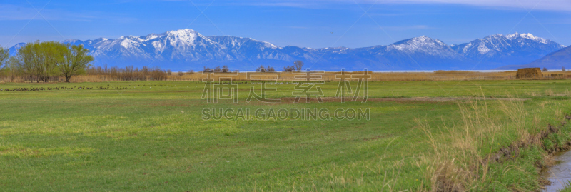 全景,农场,犹他州李海,风景,自然,草地,野生动物,美国,水平画幅,地形