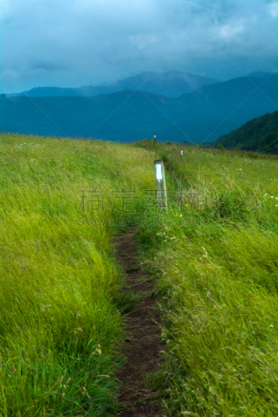 阿巴拉契亚山间栈道,菜园,皮撒国家森林公园,阿巴拉契亚山脉,国家森林公园,北卡罗来纳,自然,垂直画幅,美国,云