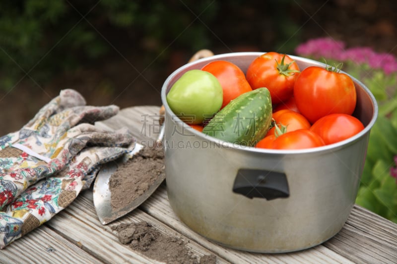 长椅,锅,农作物,蔬菜,木制,菜园,硅藻土,绿西红柿,heirloom tomato,炖锅