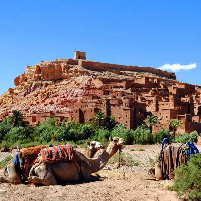 摩洛哥,筑垒村,褐色,埃本哈杜村庄,无人,northern sahara,户外,要塞,棕榈树,西撒哈拉沙漠