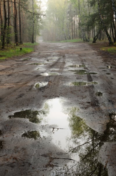 路,森林,雨,自然,垂直画幅,气候,地形,无人,欧洲,早晨