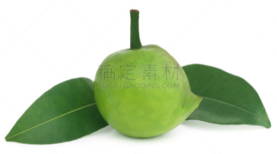 孟加拉,食品,自然,水平画幅,水果,维生素,泰国,山榄科,黄色,维生素c