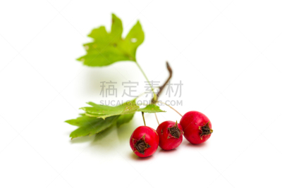 浆果,山楂,分离着色,格子烤肉,嫩里脊排,水平画幅,开胃品,膳食,熏猪肉,羊羔