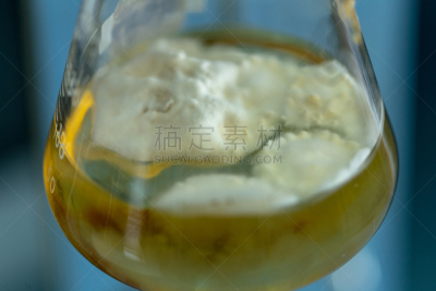 实验室,真菌,烧瓶,显微镜,生物科技,水平画幅,孢子,微生物学,科学实验,科学
