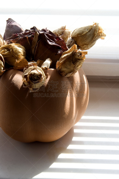 玫瑰,仿旧磨损的效果,垂直画幅,无人,古老的,阴影,干的,特写,阶调图片,花束