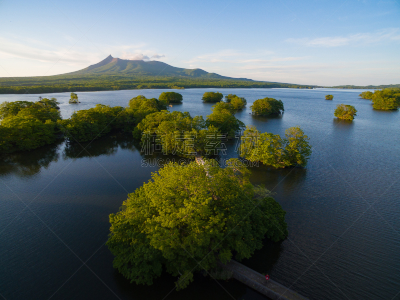 大沼湖,大沼国定公园,枝繁叶茂,湖,夏天,户外,天空,日本,火山,自然