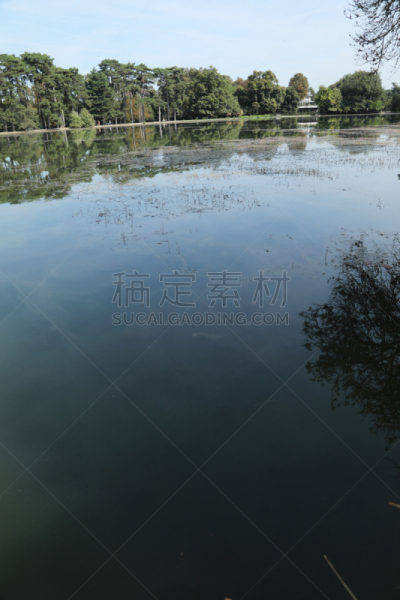 布洛涅森林,巴黎,注视镜头,自然,草坪,法国,垂直画幅,图像,池塘,宁静