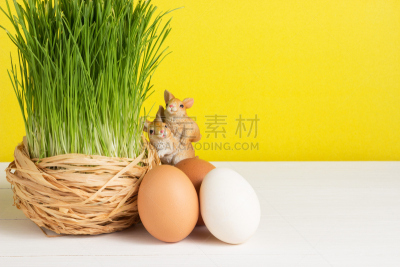 草,卵,白板,锅,黄色背景,留白,明亮,想法,青年人,白色