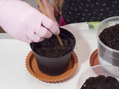 住宅内部,心脏移植术,移植手术,园艺手套,推土机,水平画幅,研磨食品,泥土,夏天,特写
