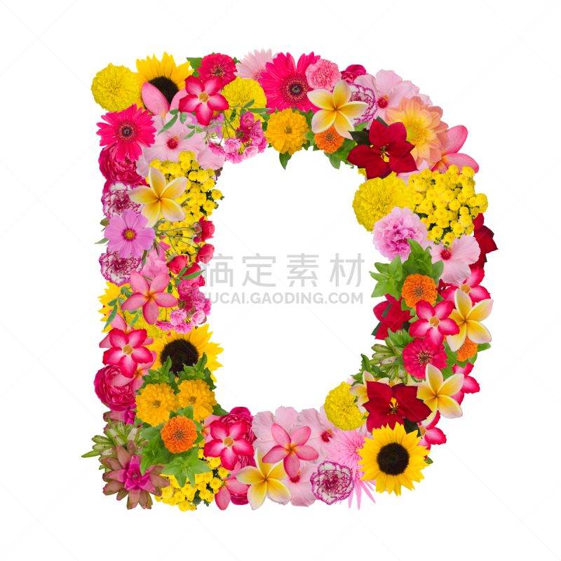 字母,英文字母d,字体,概念,接力赛,字母表次序,品牌名称,玫瑰,背景分离,马齿苋