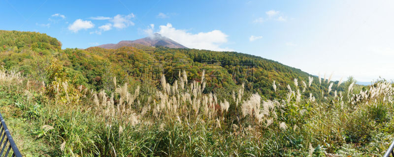 日本,秋天,叶子,福岛县,万代山,汽车,草,著名景点,自然美,枫叶