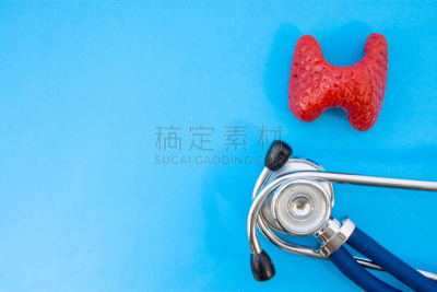 健康保健,听诊器,概念,内分泌系统,甲状腺,模型,荷尔蒙,一半的,摄影,学习