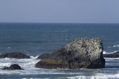 海豹岩,海滩,水,天空,俄勒冈州,俄勒冈郡,水平画幅,沙子,无人,鸟类